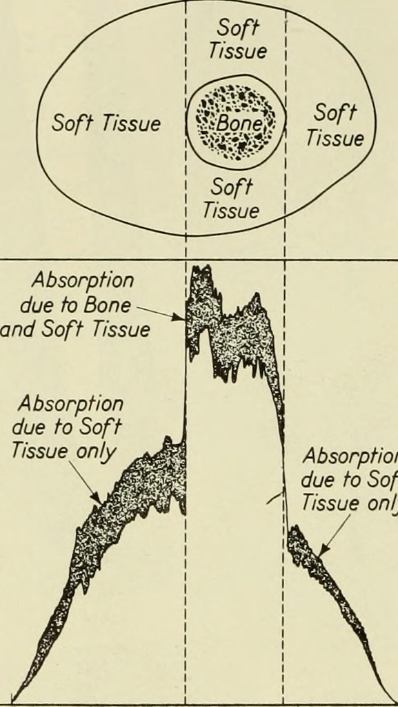 Science Simplified: Making Complex Concepts Understandable